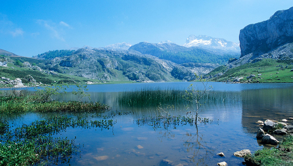 Parc national des Pics d'Europe