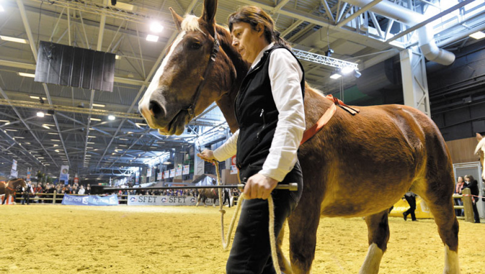 © Salon de l'Agriculture