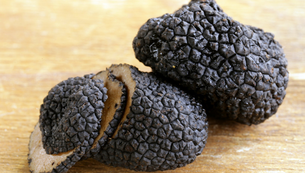 Truffe ©Istockphotos